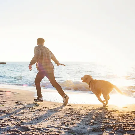 Ostseeferienpark Walkyrien - Kapitaen 37 *