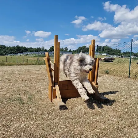 Ostseeferienpark Walkyrien - Kapitaen 37 Dom wakacyjny Schashagen